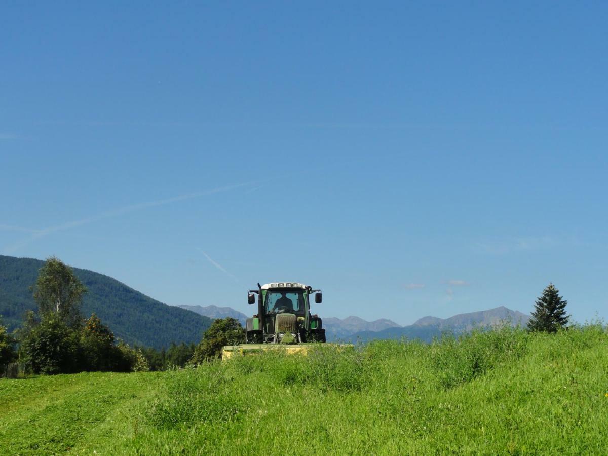 Mair Am Graben Farm * Chalets テレント エクステリア 写真