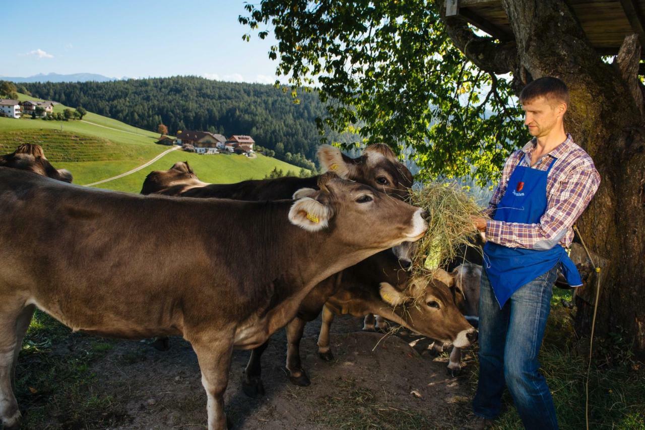 Mair Am Graben Farm * Chalets テレント エクステリア 写真