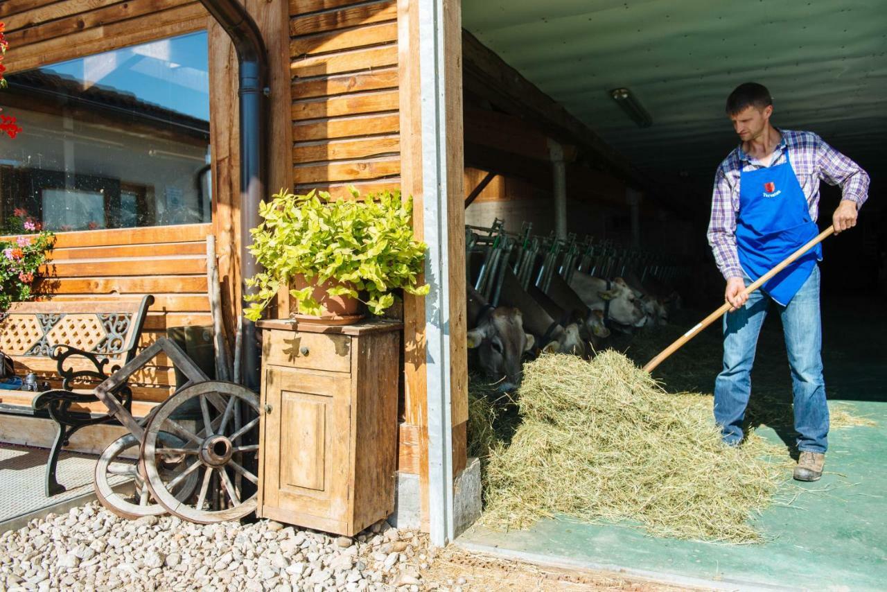 Mair Am Graben Farm * Chalets テレント エクステリア 写真